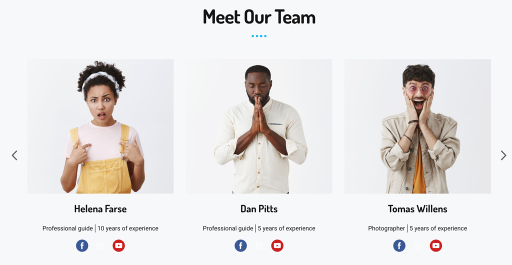 Best "Meet the Team" Page Examples  Safari Tours